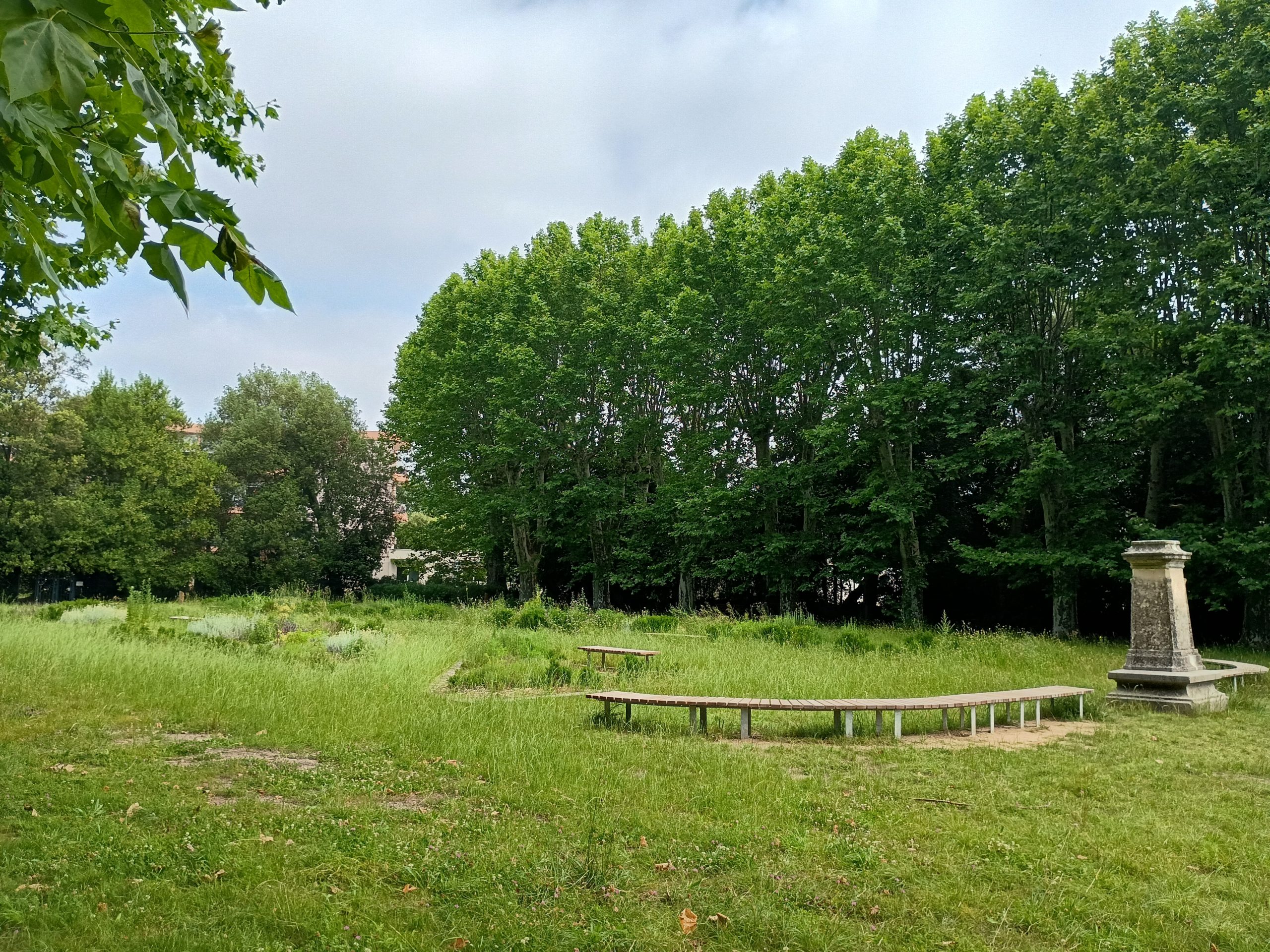 Les platanes et le jardin méditerranéen du parc du Mas de Rochet