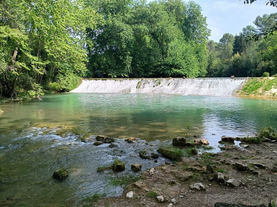 Vue sur la cascade du parc Monplaisir, encadrée par les arbres