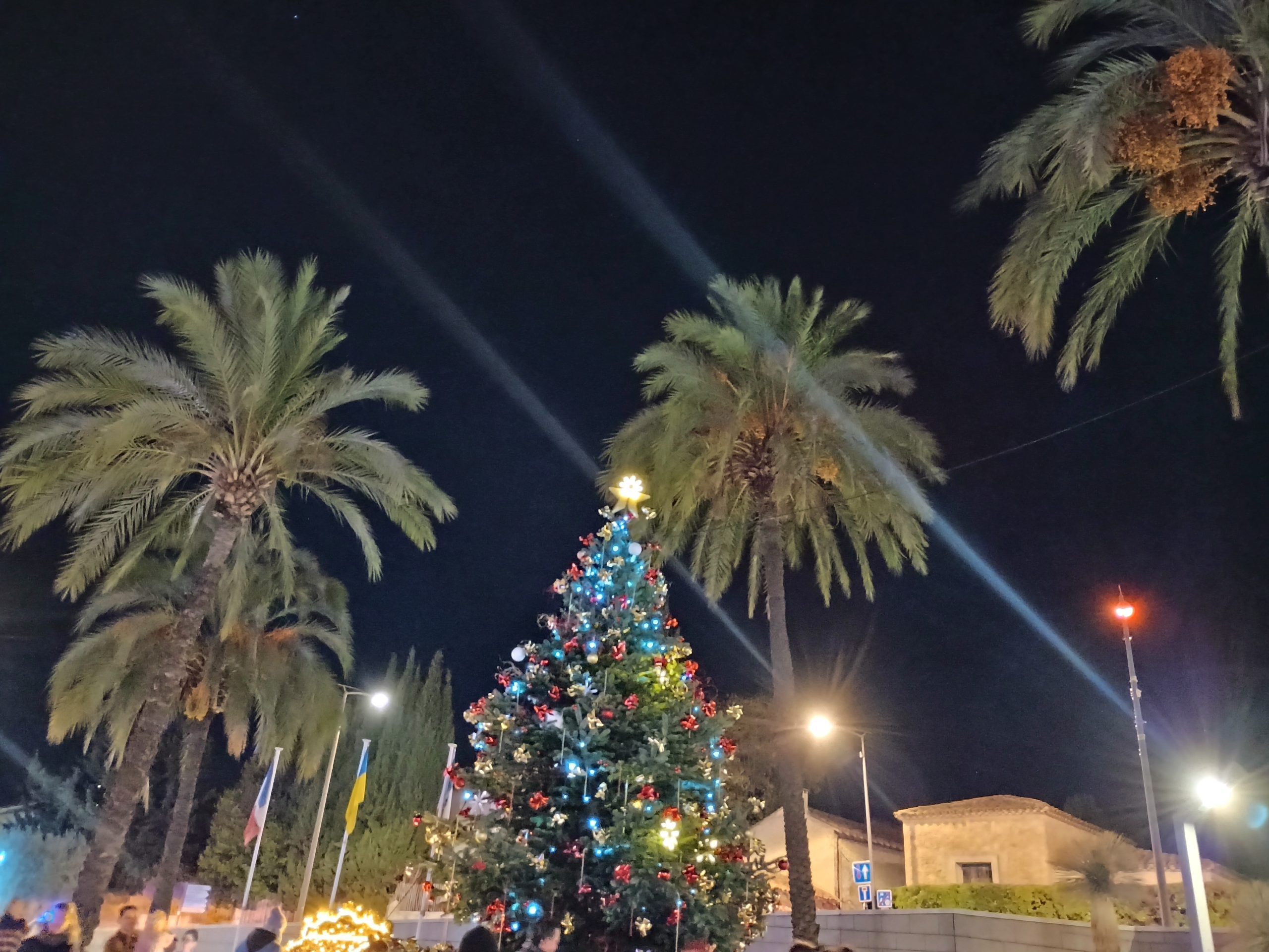 Le sapin de la place de l'Europe