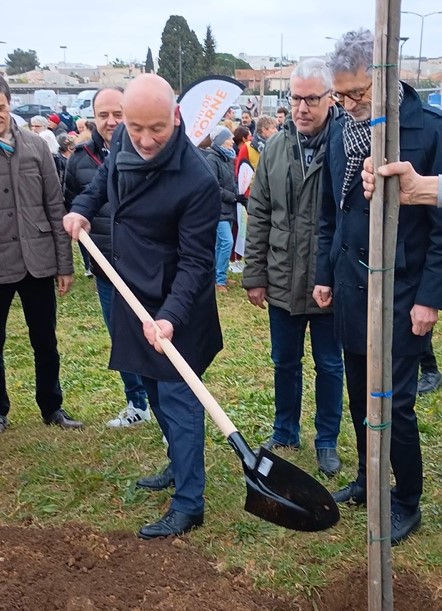 Le maire Frédéric Lafforgue en train de planter un chêne