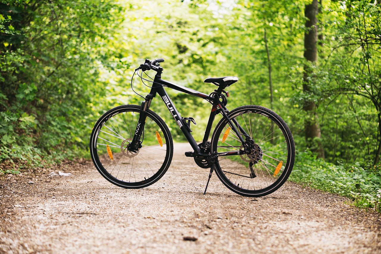 Un vélo sur béquille sur un chemin en forêt